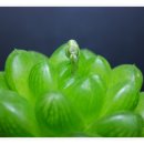 봄의기운 이미지