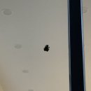 풀빌라쏠 이미지