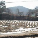 공장최고부동산공인중개사사무소 이미지