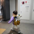 콩세알어린이집 | [육아, 스물한번째] 15개월 아기 🧒🏻 뭐먹지? 뭐하고놀지?