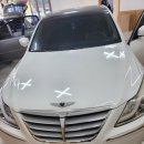 제네시스 유한회사 이미지