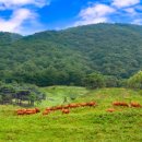 대곡목장 이미지