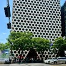 팀홀튼 신논현역점 | 강남 한복판에서 만나는 캐나다 감성 '팀홀튼 신논현역점' 오리지널 아이스캡, 아이스 딥라떼 후기