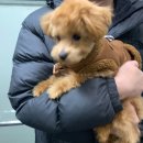견생 이발소 네이버블로그