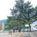 만성리 파출소 옆 이미지