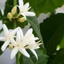 추억속의 이야기 이미지