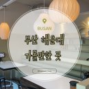 1978 덮밥앤볶음밥 | 부산 아이랑 가볼만한곳 해운대 맛집 중식당 부엌간 차이니즈 부모님 식사 솔직후기