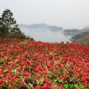 2007-주019 이미지