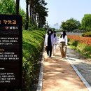 도심속 향기원 이미지