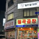 시민로16포차 | 의정부 곱창 맛집 월곡곱창 의정부역 시내 야곱 내돈내산