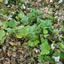 정병석농장 이미지