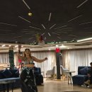 (저녁)이집트전통벨리댄스 이미지