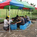 동산고등학교, 인천 남동고등학교, 성안중학교, 초지중학교 무궁화 나눔묘목 스티커 붙이기(8. 14) 이미지