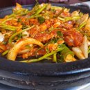 햇살마루 청둥오리 이미지