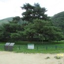 보은 삼년산성 이미지