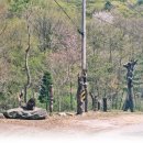 명월2리상실내 네이버블로그
