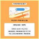 자연안에한의원중구점 네이버블로그