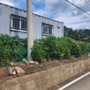 송백공인중개사사무소 이미지