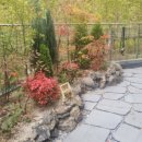 고려부동산공인중개사사무소 이미지