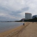 일본 후쿠오카 "모모치 해변"과 "타워" 이미지