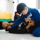 아레나주짓수 이미지