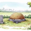 양택공설묘지 이미지