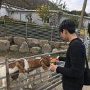 승호목장 이미지