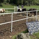 새대한목장 이미지