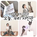 🐶 수원영통 오늘, 우리 사진관 / 영통 셀프 사진관 방문 후기 📸