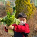 새보람유치원 이미지