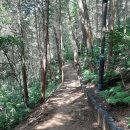 이코노행정사사무소 이미지