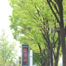 한남쭈꾸미 이미지