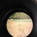 레드(RED)셀프세차장 | [26년형] 파인캐디 UPL12 VOICE RED 보이스 레드 필드 사용기