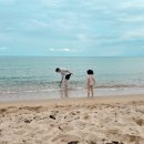 하저해수욕장(모래사장) 이미지