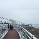 간월도항 이미지