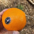 창열농장 이미지