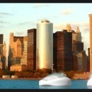 진헬스클럽 이미지