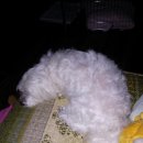 포항이동유치원 이미지