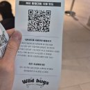 곤충연구소 실내 | 인천 월미도 아이와 가볼만한곳 와일드벅스 곤충체험관 실내체험 후기