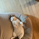 농림축산검역소 앞 이미지