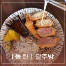 [동탄 맛집] 영천동 11자 꽃게 수제카츠 맛있는 안주_달주방