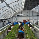 농촌테마공원1 이미지