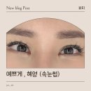 판암동209 | 대전 동구 판암동 예쁘게, 혜영 – 애니메 마스카라 속눈썹 후기