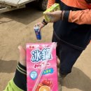 돈이농장 이미지