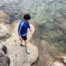 물과숲민박 이미지