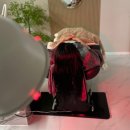 세실로 | 해운대 헤드스파 두피어스 힐링 두피관리 받고 온 후기