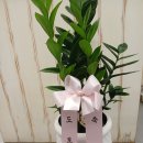 온유정신건강의학과의원 이미지