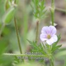온듯 티스토리