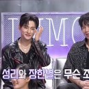성리 송골매 이미지