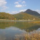 남이섬리버필드 이미지